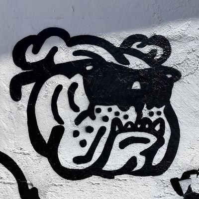 Cool Dog Tattoo avatar