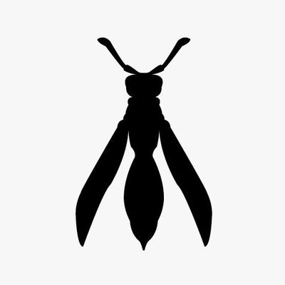 ESTUDIO VESPA avatar