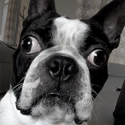Jose Needles avatar
