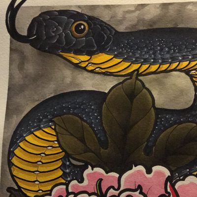 Kyle Borchgardt avatar