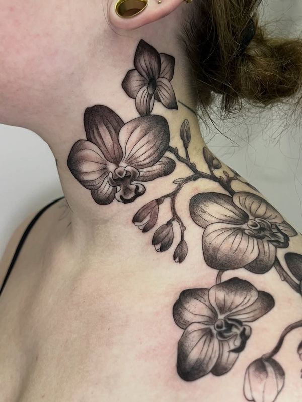 La Petite Tattoo - Portla showcase image