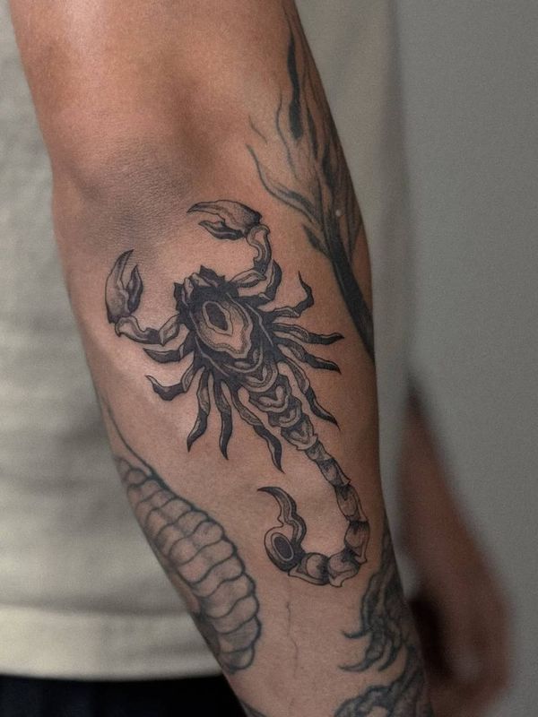 TATTOO | TAMPA showcase image